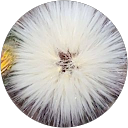 Ben Quezada profile picture